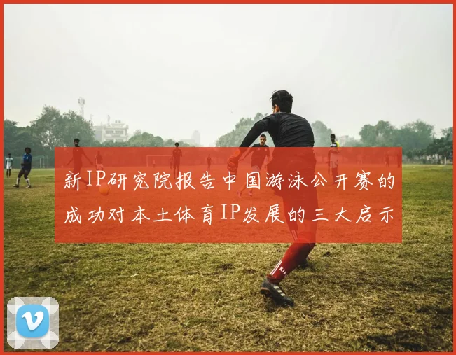 新IP研究院报告中国游泳公开赛的成功对本土体育IP发展的三大启示